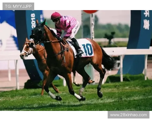 威廉希尔官网的体育博彩种类及玩法详解